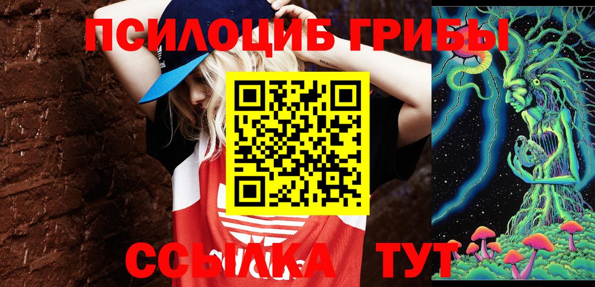 Кондопога  Псилоцибиновые грибы GOLDEN TEACHER  Вход с VPN 