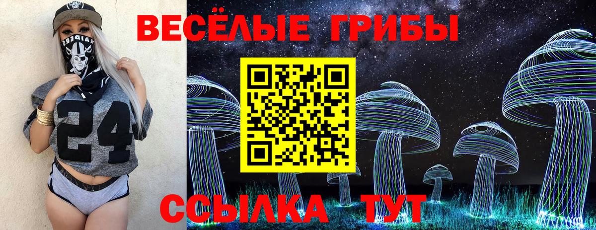 Псилоцибиновые грибы мицелий Кондопога