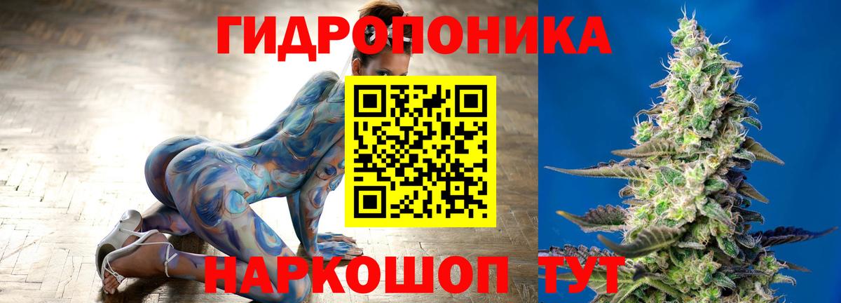 МЕФ Кондопога